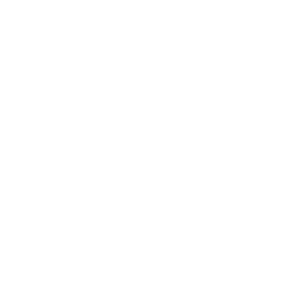 Digital Solutions and Support